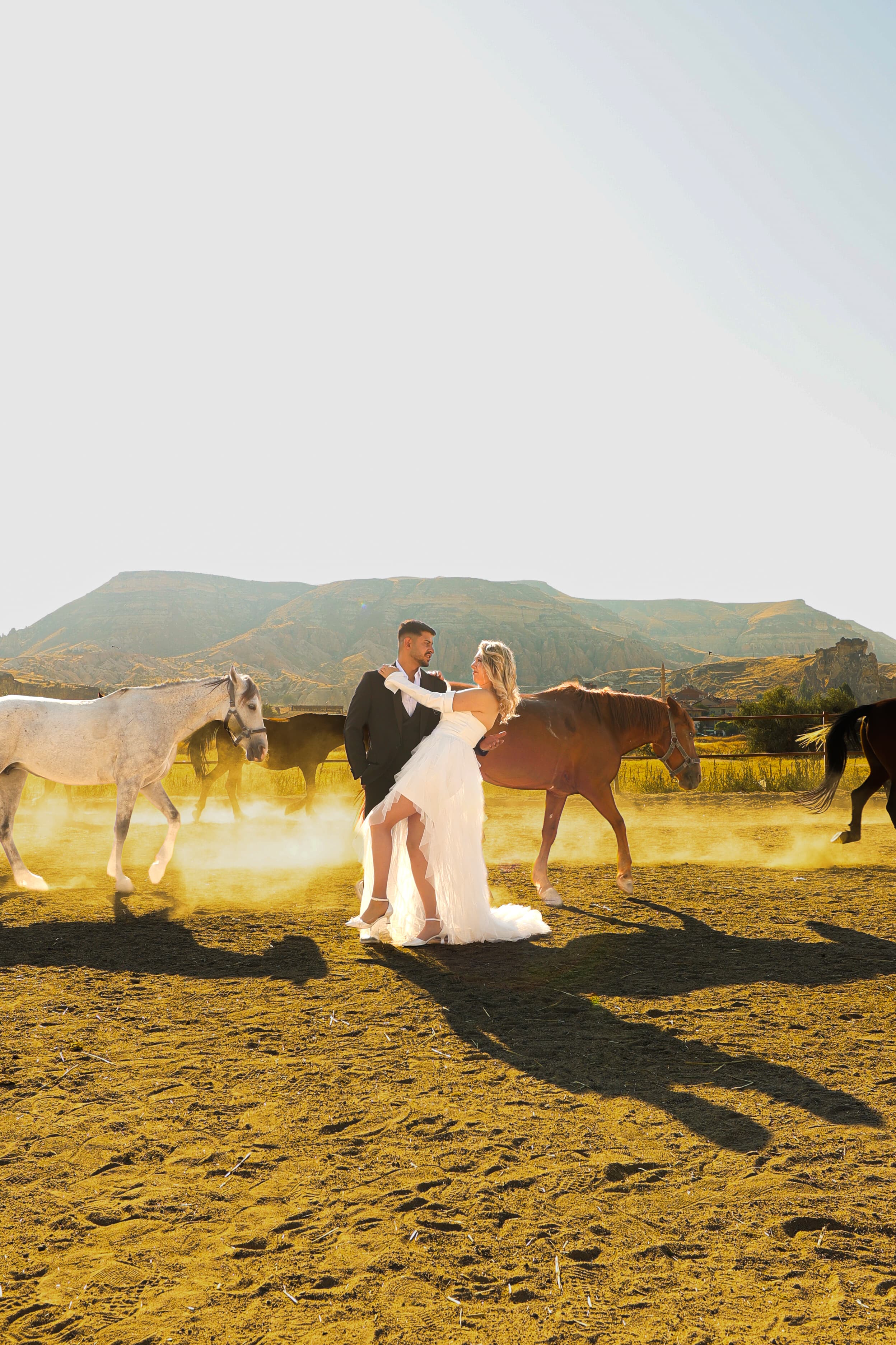 Horse Farm
